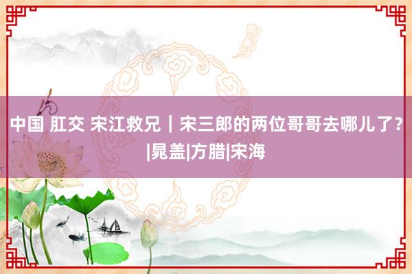 中国 肛交 宋江救兄｜宋三郎的两位哥哥去哪儿了？|晁盖|方腊|宋海