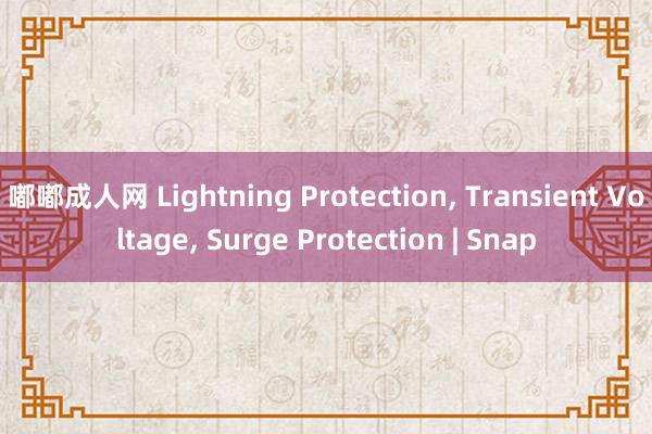 嘟嘟成人网 Lightning Protection， Transient Voltage， Surge Protection | Snap